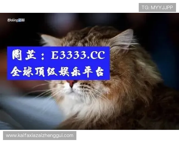 AG真人网站下载官方最新版本提供安全稳定的下载渠道，便于玩家快速畅享真人娱乐体验