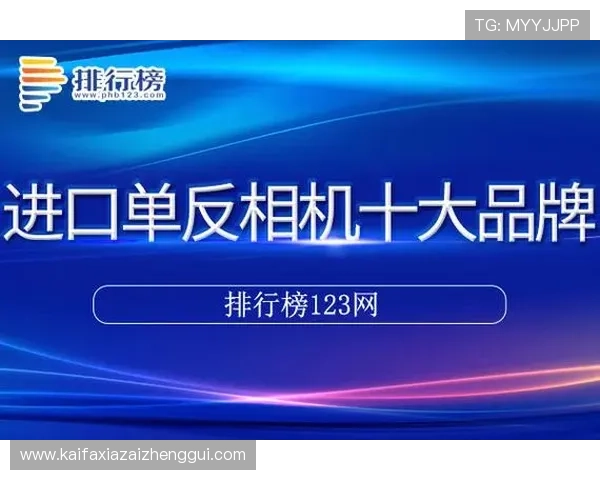 凯发K8网娱乐app多平台兼容性与操作体验评测
